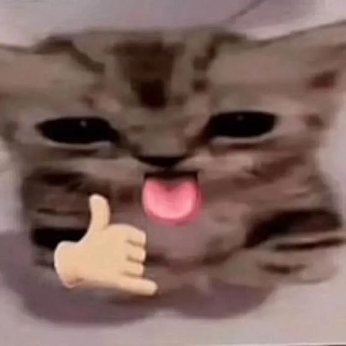 like meme mèo cuti like meme mèo cuti