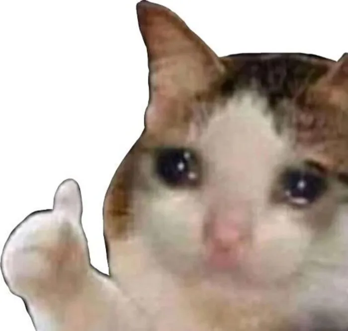 like meme mèo xúc động like meme mèo xúc động
