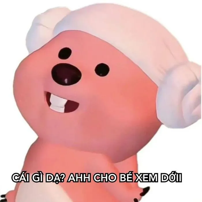 loopy meme ánh mắt long lanh