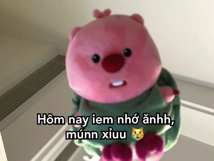 loopy meme xinh
