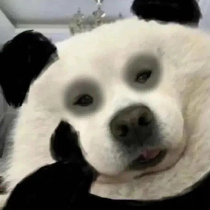 meme bựa cười bất lực