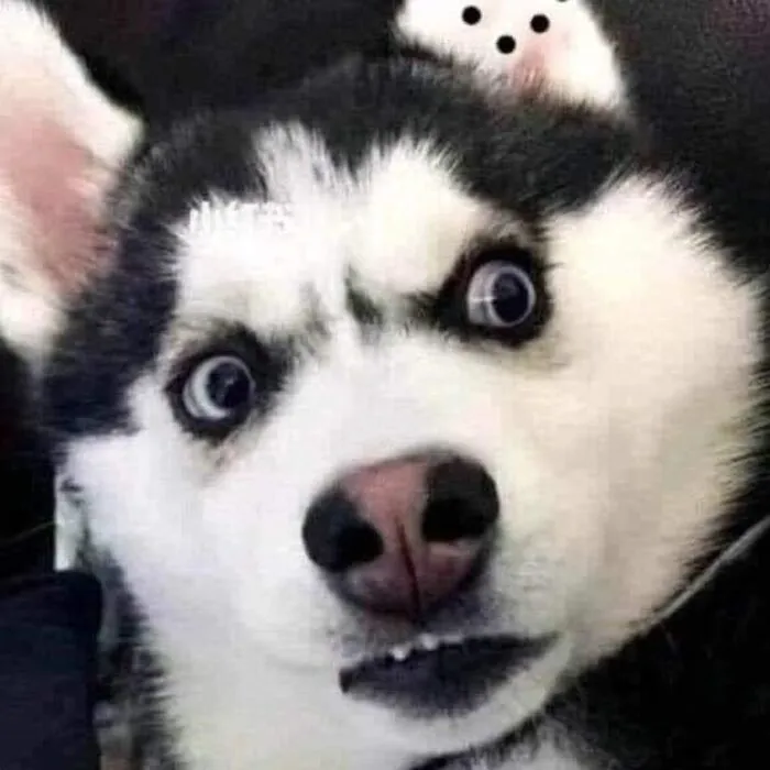 meme bựa khuôn mặt hài