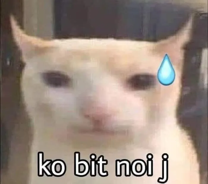 meme bựa phản ứng bất ngờ