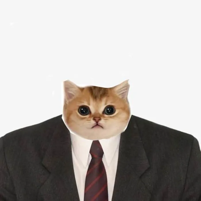 meme bựa phản ứng cực lầy