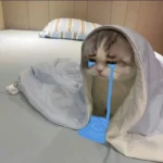 Bộ sưu tập 35+ meme buồn hài hước giúp bạn giải tỏa tâm trạng