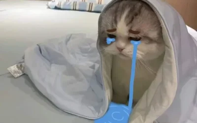 meme buồn biểu cảm khuôn mặt