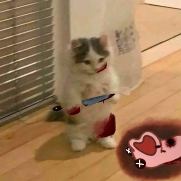 meme cầm dao mèo cute nhất