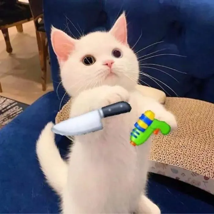 meme cầm dao mèo cute