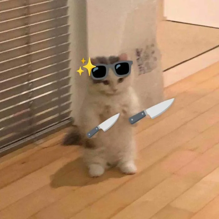 meme cầm dao mèo hài