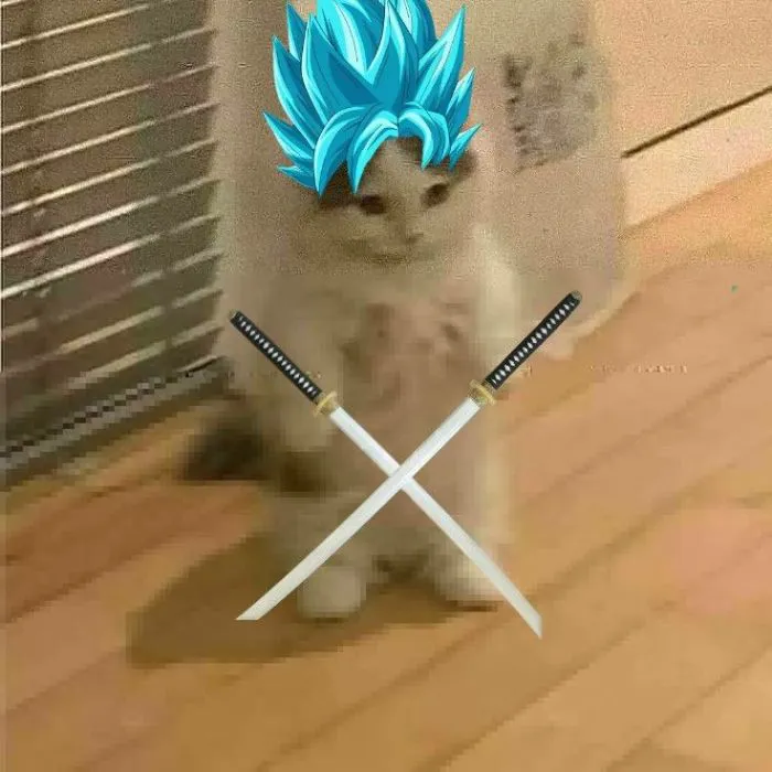 meme cầm dao mèo