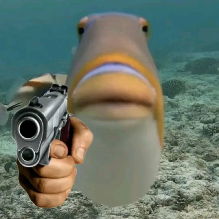 meme cầm súng cá meme cầm súng cá