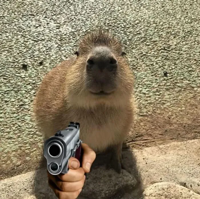 meme cầm súng capybara meme cầm súng capybara