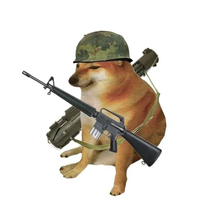 meme cầm súng chó meme cầm súng chó