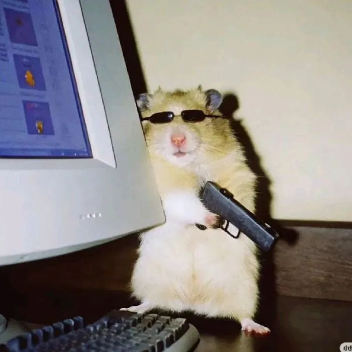 meme cầm súng hamster hài meme cầm súng hamster hài