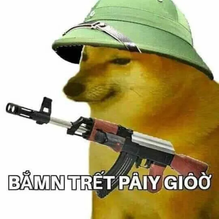 meme cầm súng shiba meme cầm súng shiba