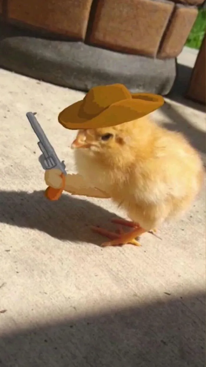 meme cầm súng vịt meme cầm súng vịt