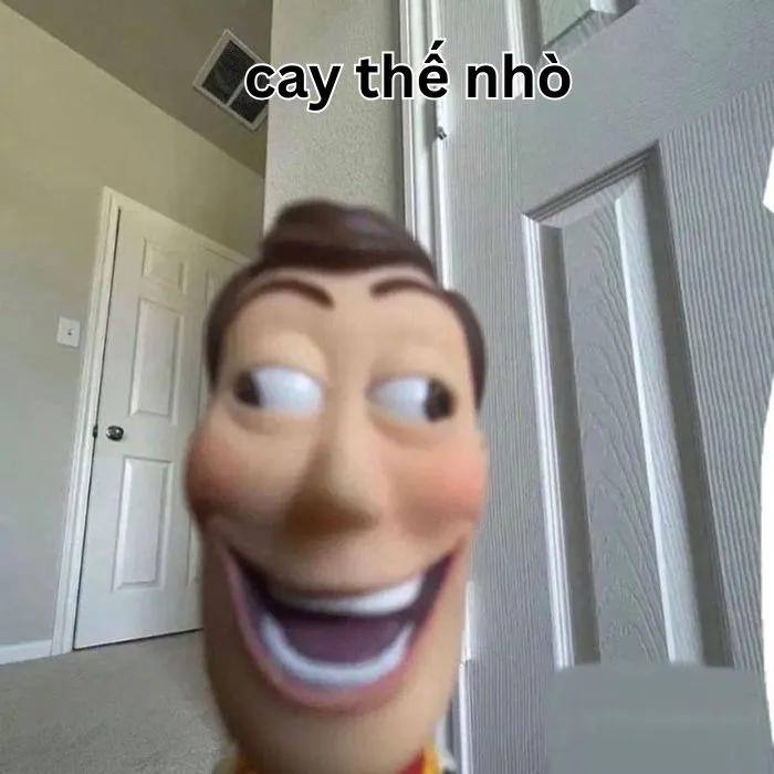 meme cay cú bựa