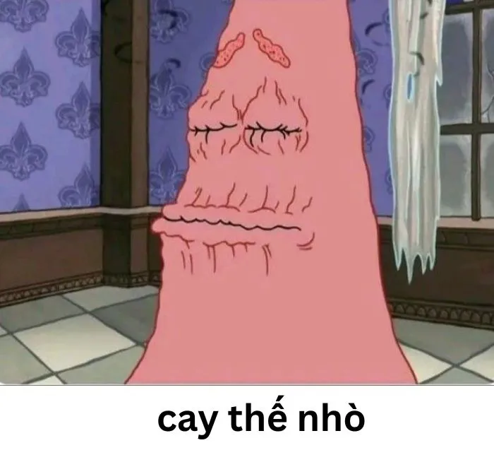 meme cay cú cay