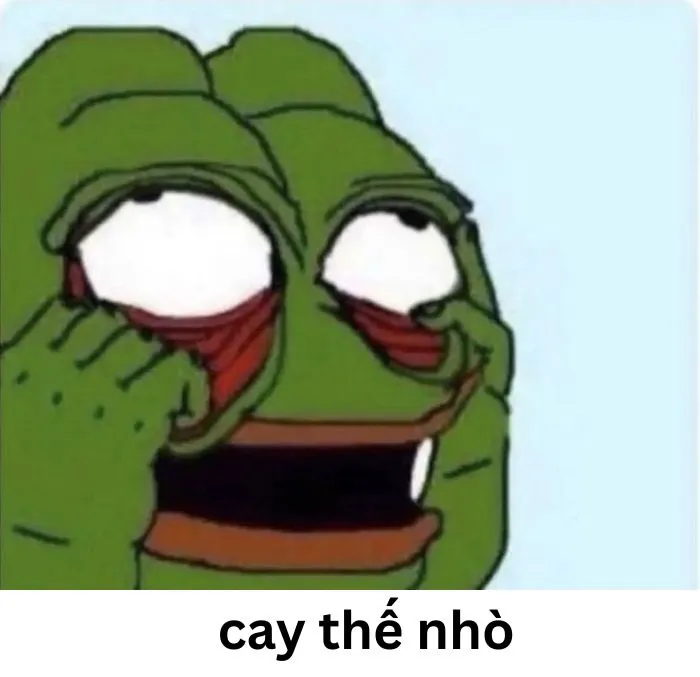meme cay cú cực bựa