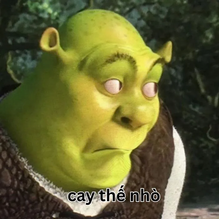 meme cay cú siêu chế