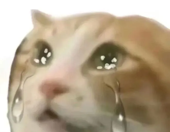 meme chán cực holt meme chán cực holt