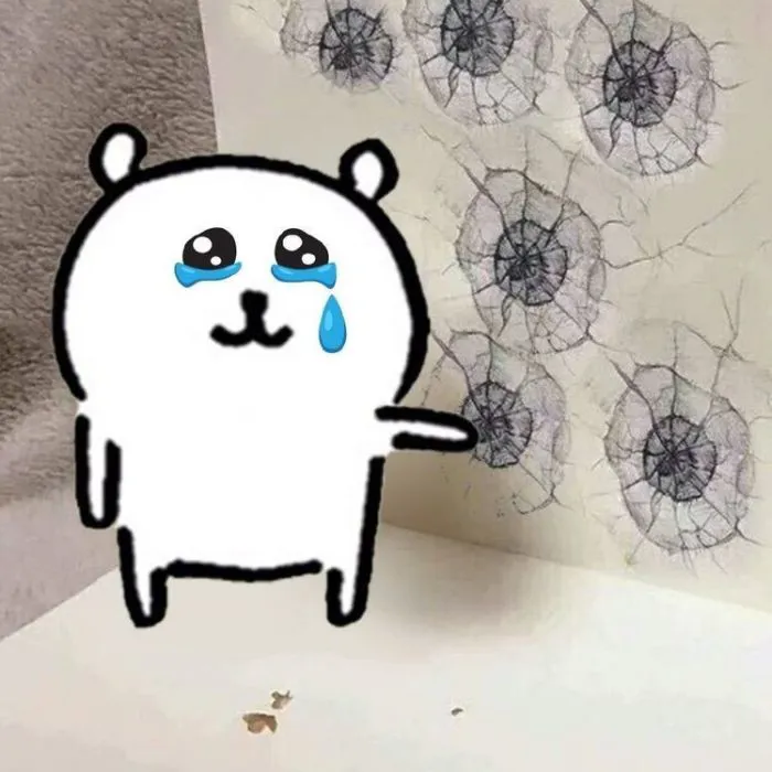 meme chán gấu meme chán gấu