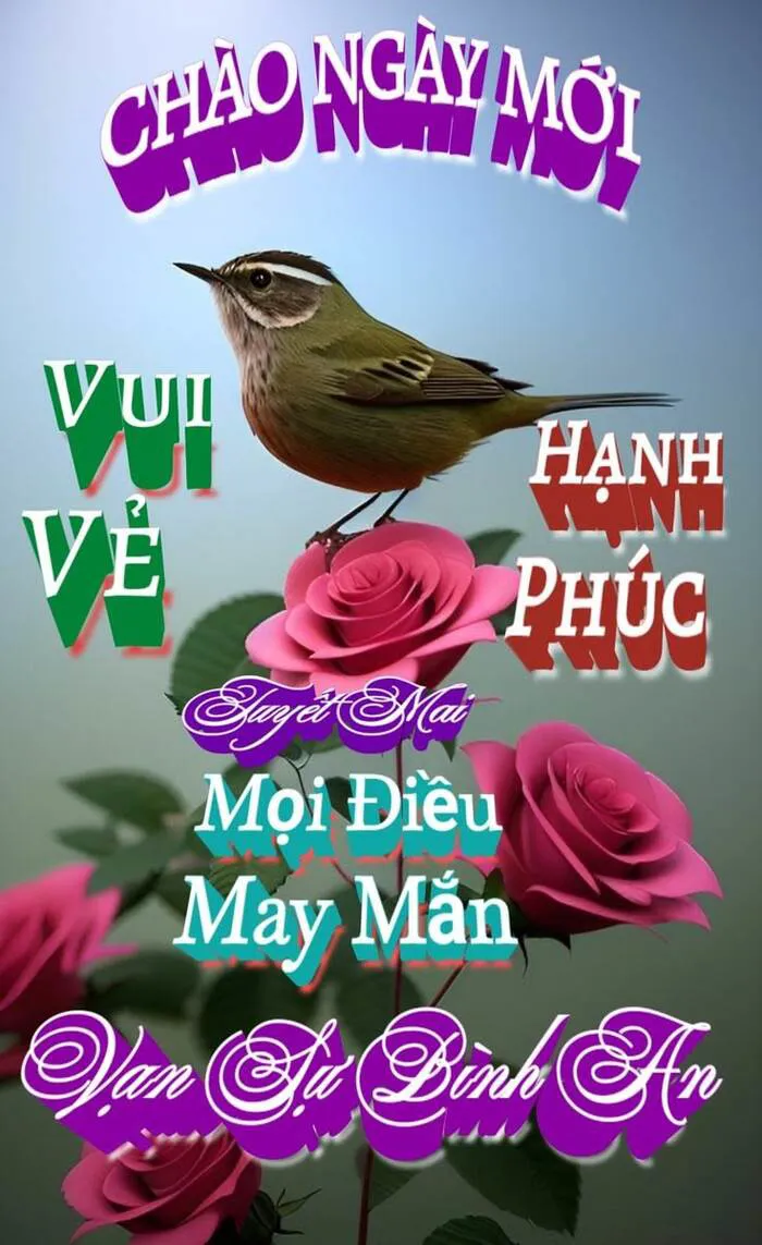 meme chào buổi sáng chim