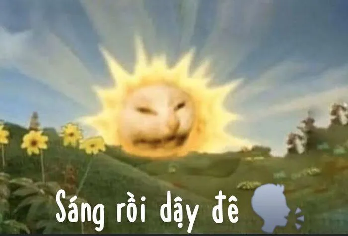 meme chào buổi sáng mèo