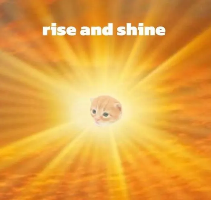 meme chào buổi sáng morning sáng