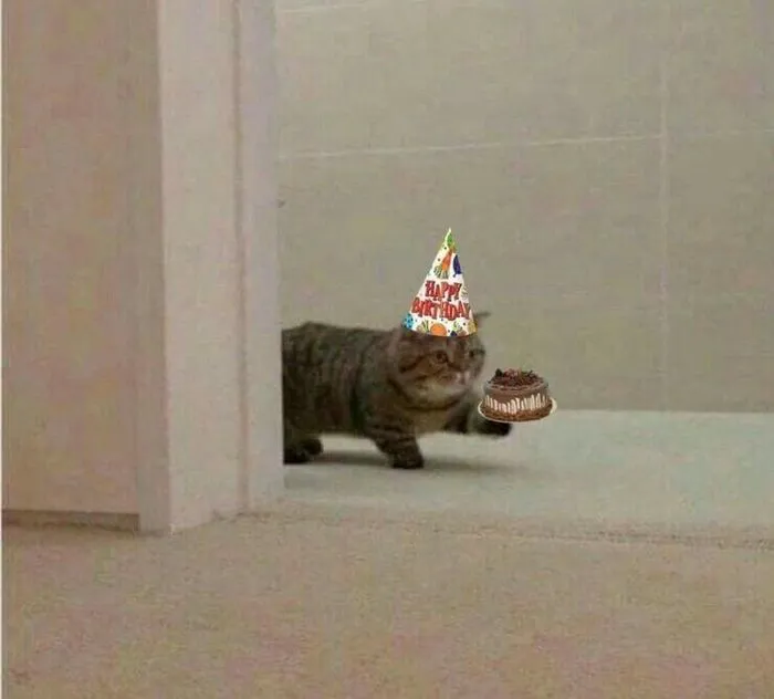 meme chúc mừng sinh nhật biểu cảm sốc meme chúc mừng sinh nhật biểu cảm sốc