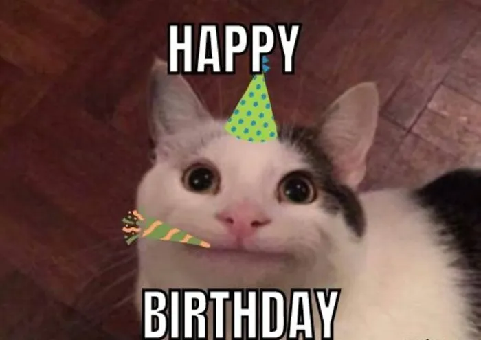 meme chúc mừng sinh nhật nhìn ngơ ngác meme chúc mừng sinh nhật nhìn ngơ ngác