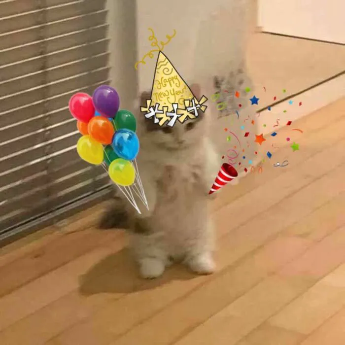 meme chúc mừng sinh nhật phản ứng bất ngờ meme chúc mừng sinh nhật phản ứng bất ngờ