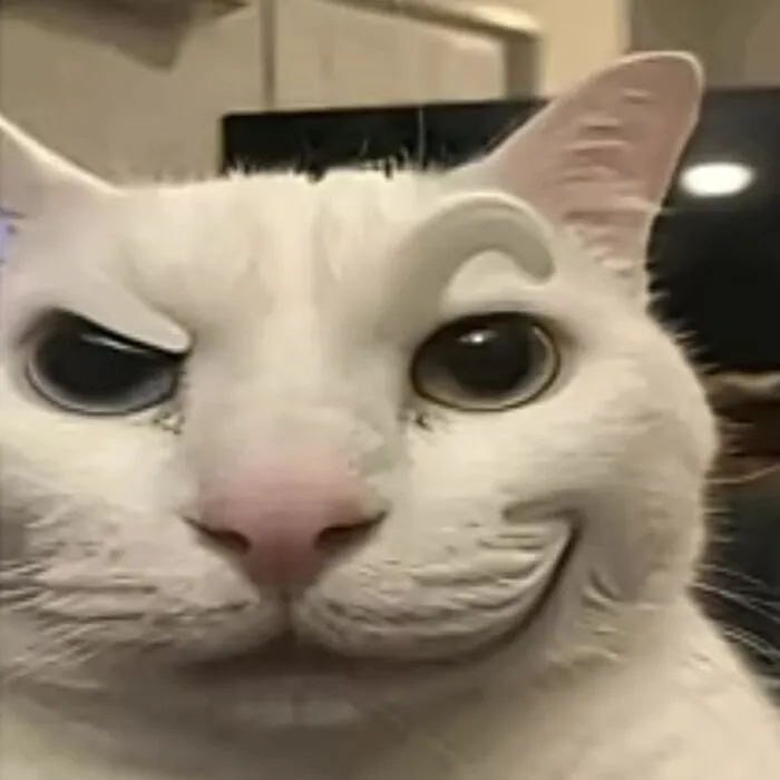 meme cười đểu cười nhếch mép