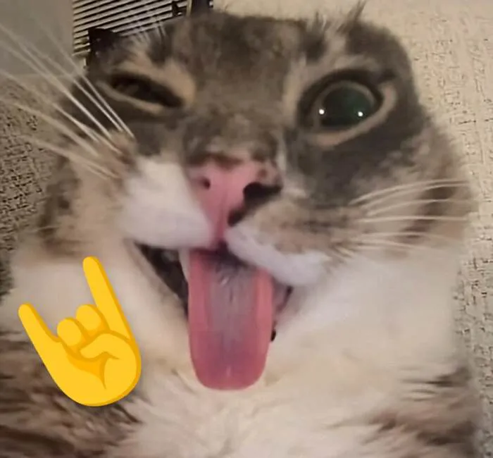 meme cười đểu phản ứng ngáo
