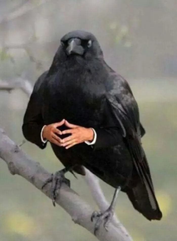 meme dark nhìn ngơ ngác