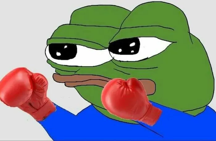 meme ếch xanh boxing meme ếch xanh boxing