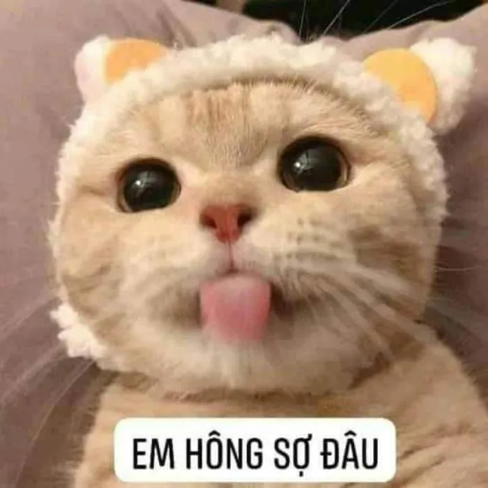 meme lêu lêu hông sợ meme lêu lêu hông sợ