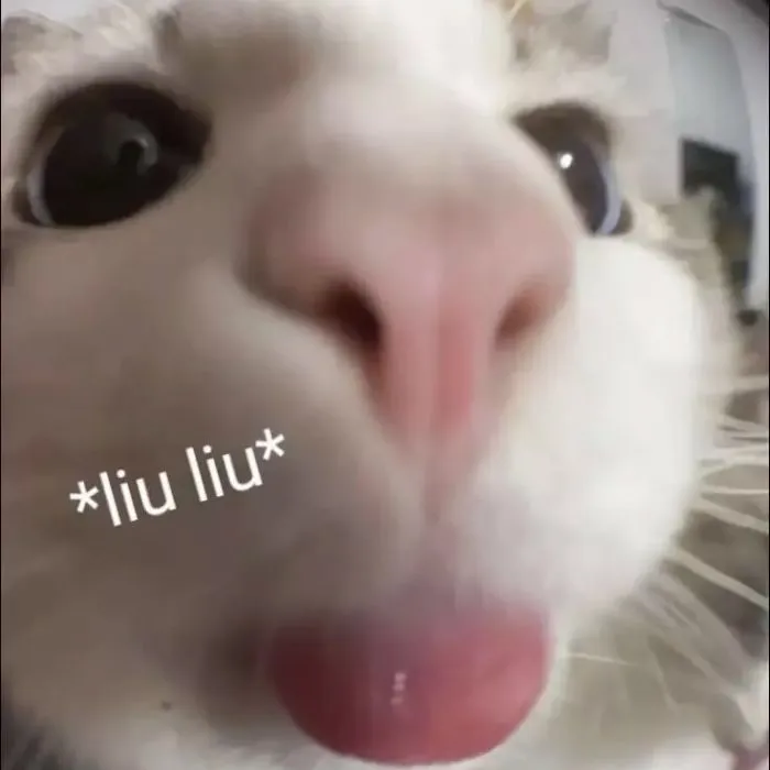 meme lêu lêu liuliu meme lêu lêu liuliu