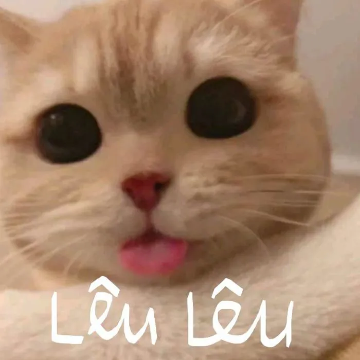 meme lêu lêu trêu ngươi meme lêu lêu trêu ngươi