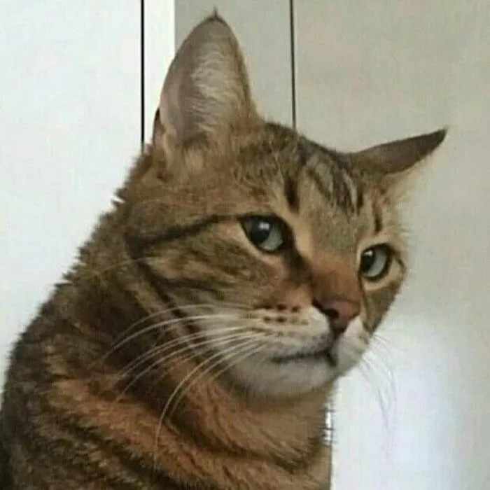 meme liếc ánh nhìn lạnh