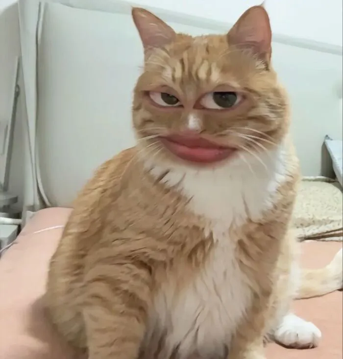 meme liếc kiểu lầy