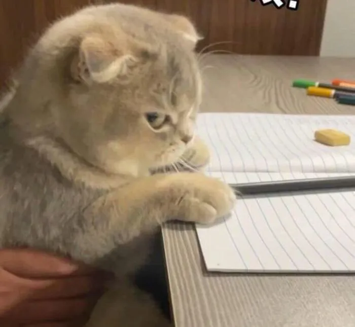meme liếc nhìn hài hước
