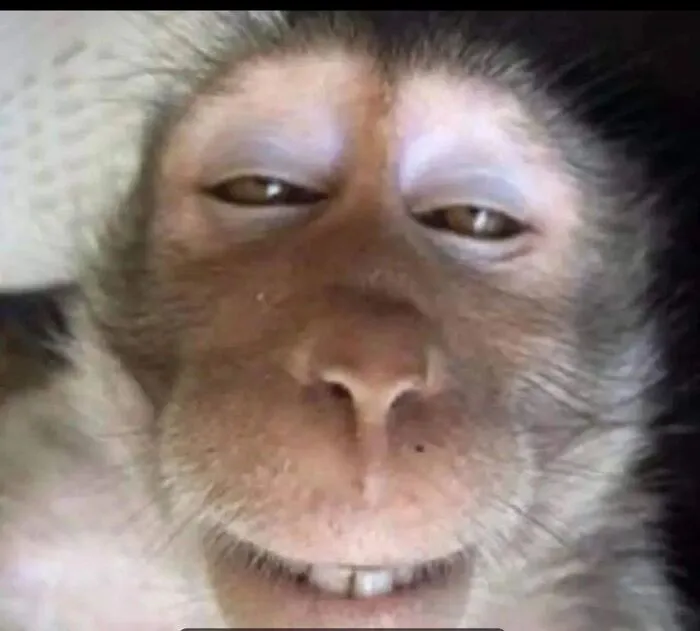 meme liếc nhìn mắc cười