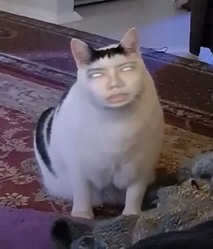 meme liếc style lầy lội
