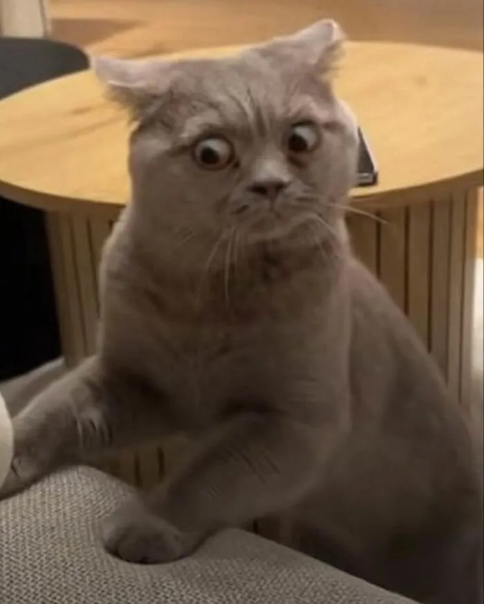 meme liếc style meme