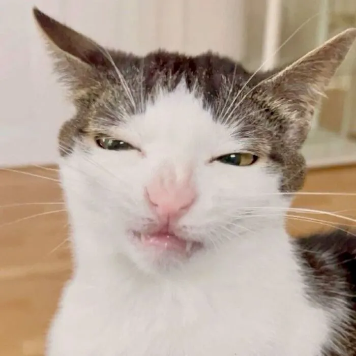 meme liếc vibe mỉa mai