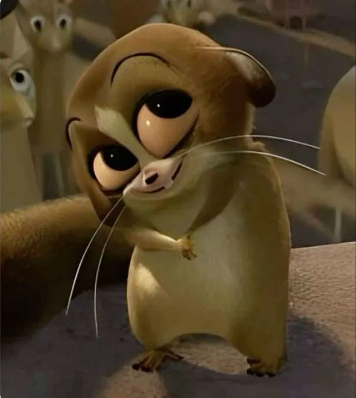 meme lườm cartoon meme lườm cartoon