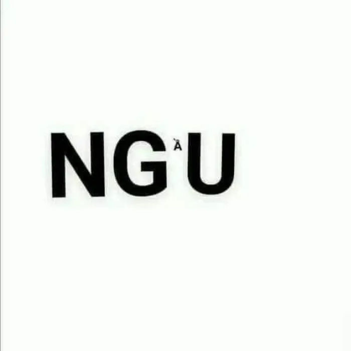 meme ngu