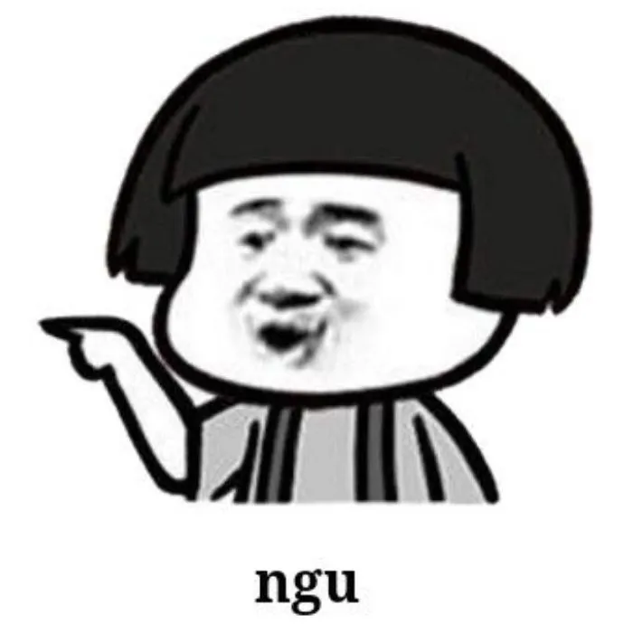 meme ngu china