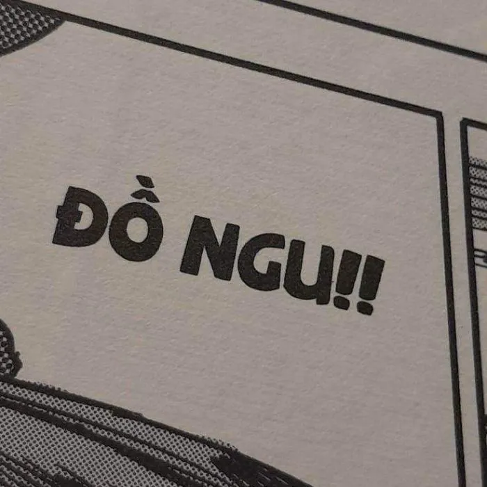 meme ngu chửi